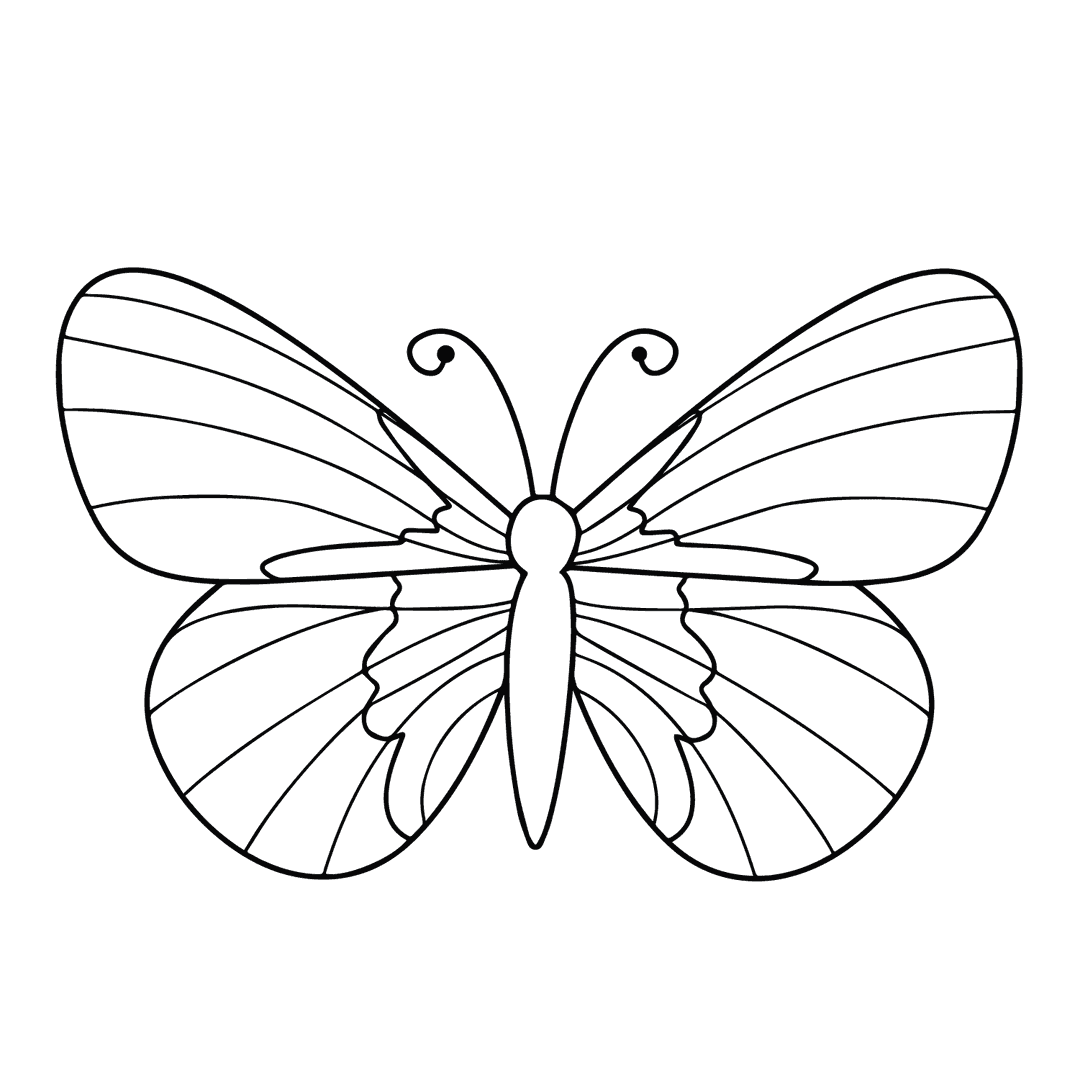 Butterfly - medium line-art drawing idea