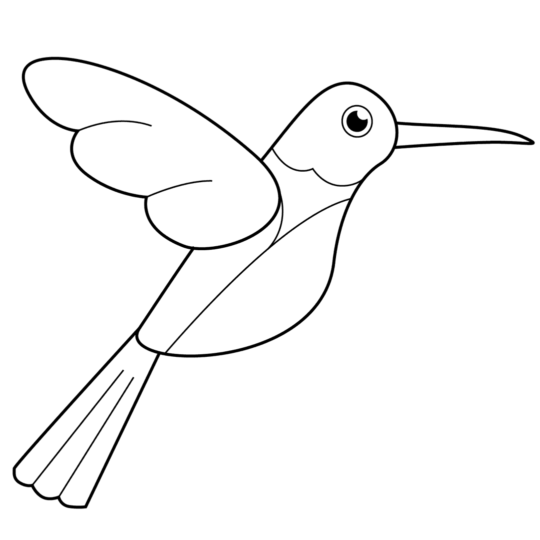 Hummingbird - medium line-art drawing idea