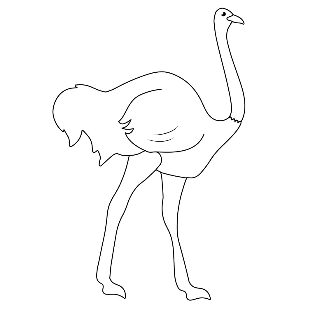 Ostrich - medium line-art drawing idea