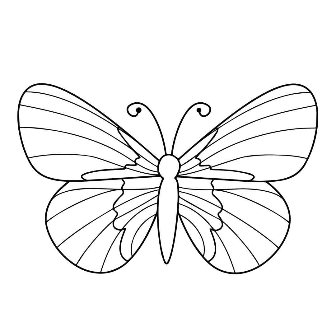 Butterfly - medium line-art drawing idea for animals