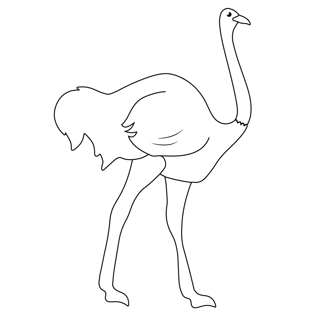 Ostrich - medium line-art drawing idea for animals