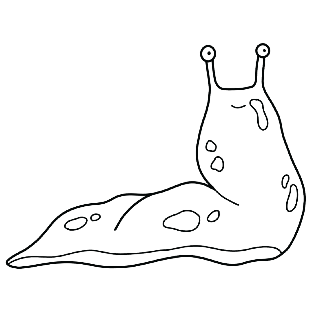 Slug - easy line-art drawing idea for animals