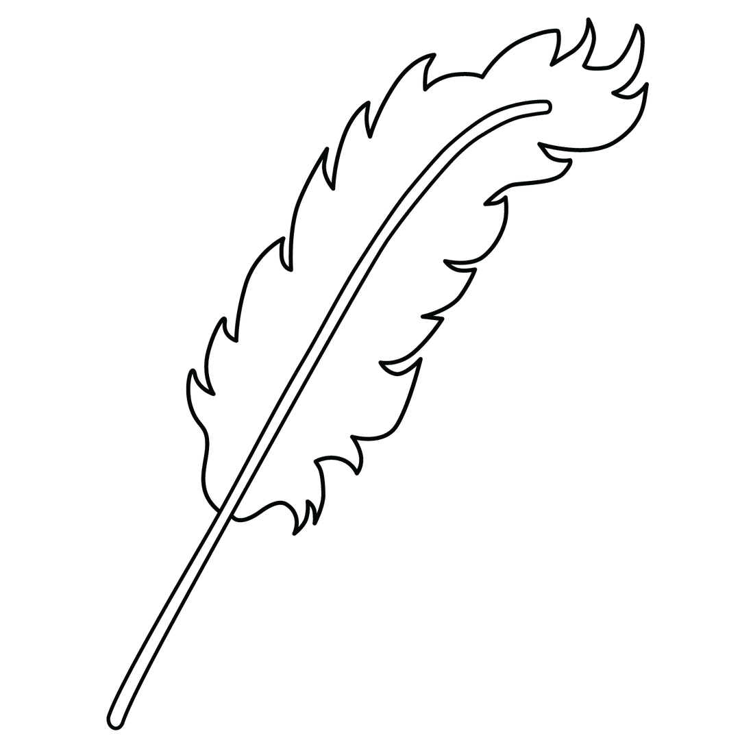 Feather - easy line-art drawing idea for nature