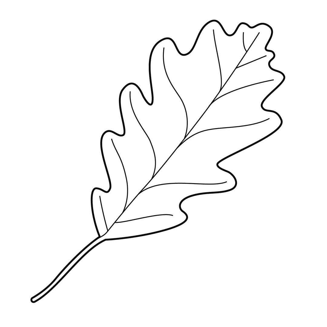 Leaf - easy line-art drawing idea for nature